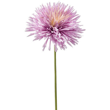 Chryzantema Fiolet 58cm