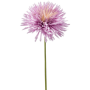 Chryzantema Fiolet 58cm