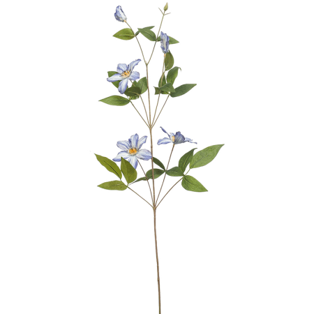 Clematis Niebieski 82 cm