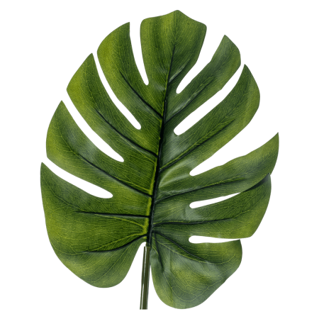 Monstera Liść 73 cm