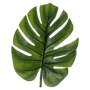 Monstera Liść 73 cm