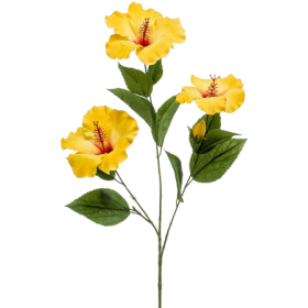 Hibiskus Żółty 82 cm