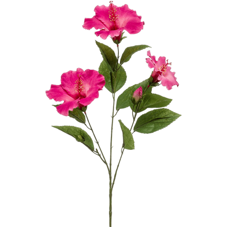 Hibiskus Różowy 82 cm