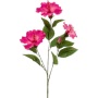 Hibiskus Różowy 82 cm