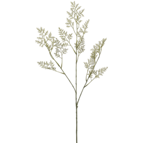Limonium Zatrwian 75 cm