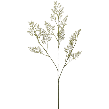 Limonium Zatrwian 75 cm