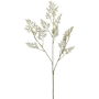 Limonium Zatrwian 75 cm