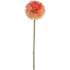 Dalia Brzoskwinia 64 cm