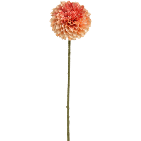 Dalia Brzoskwinia 64 cm