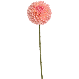 Dalia Różowa 64 cm
