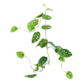 Monstera Girlanda 120 cm