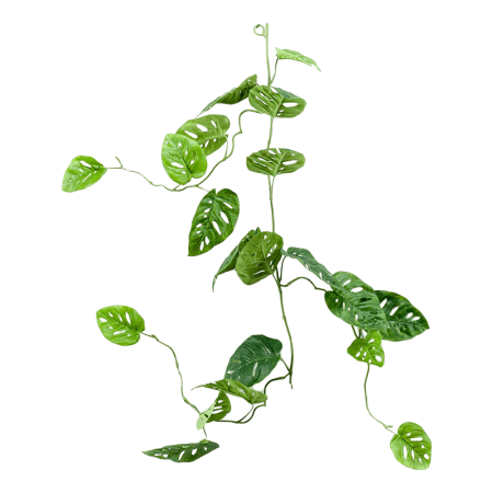 Monstera Girlanda 120 cm