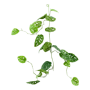 Monstera Girlanda 120 cm
