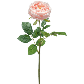 Róża Różowa 60 cm