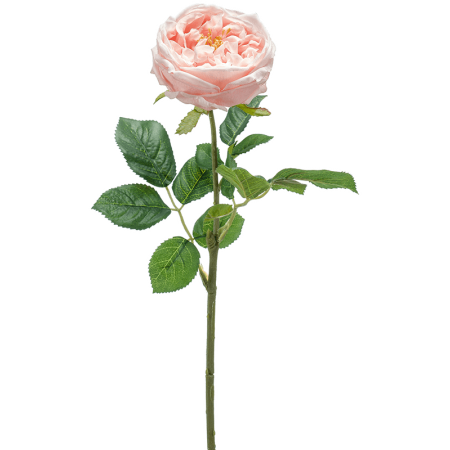 Róża Różowa 60 cm