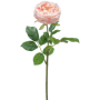 Róża Różowa 60 cm