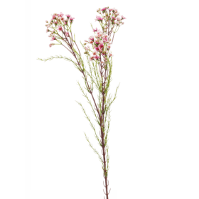 Wax Drobne Rózowe Kwiatki 78 cm