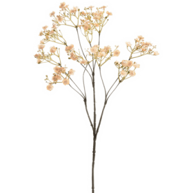 Gipsówka Różowa 68 cm