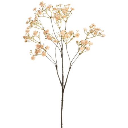Gipsówka Różowa 68 cm