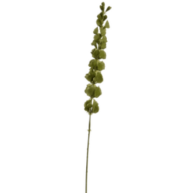 Dzwonki Irlandzkie Zielone 98 cm