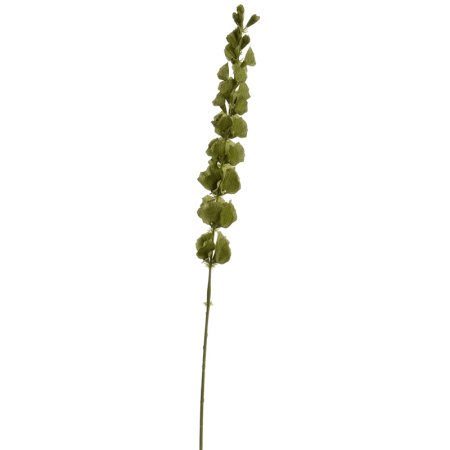 Dzwonki Irlandzkie Zielone 98 cm
