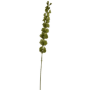 Dzwonki Irlandzkie Zielone 98 cm