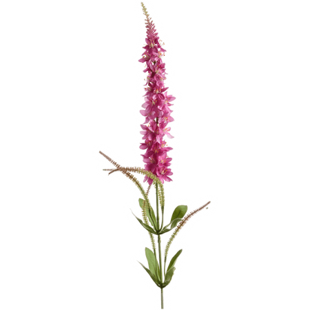 Przetacznik Kłosowy Veronica 103 cm