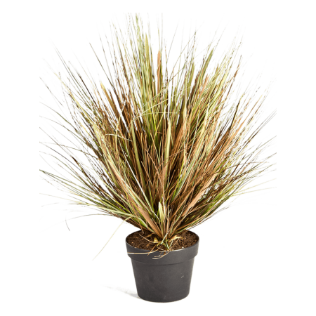 Trawa Sucha 50 cm