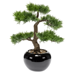 Bonsai 34 cm