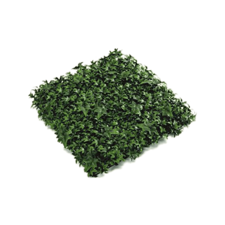 Mata Hedera 50 cm
