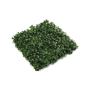 Mata Hedera 50 cm