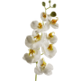 Storczyk Gałązka 68 cm