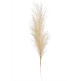 Trawa Pampasowa Kremowa 115 cm