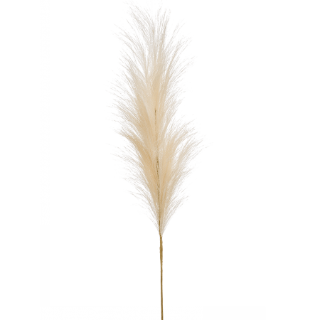 Trawa Pampasowa Kremowa 115 cm