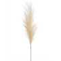 Trawa Pampasowa Kremowa 115 cm