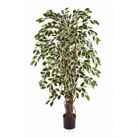 Drzewko Fikus 90 cm