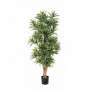 Dracena reflexa 150 cm
