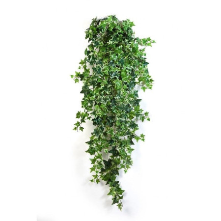 Bluszcz Ivy 110 cm
