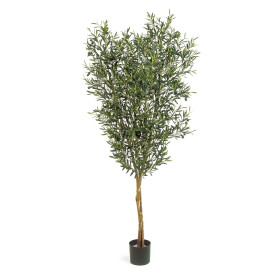 Drzewko Oliwne z owocami 120 cm