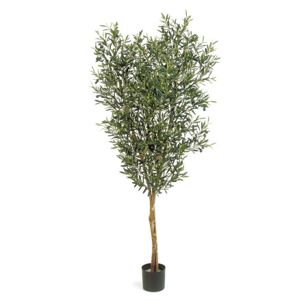 Drzewko Oliwne z owocami 120 cm