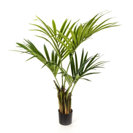 Palma Kentia 110 cm