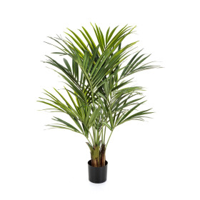 Palma Kentia De luxe 140 cm