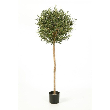 Drzewko Oliwne z owocami 140 cm