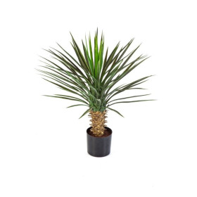 Juka De Luxe 80 cm