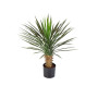 Juka De Luxe 80 cm