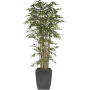 Bambus 175 cm