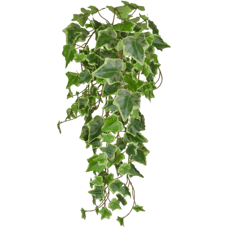 Bluszcz Hedera zielono-biały 55 cm
