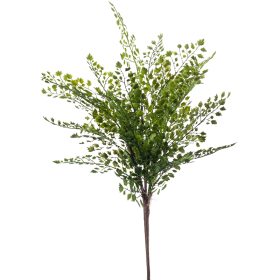Paprotka bukiet pik 40 cm