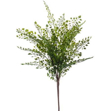 Paprotka bukiet pik 40 cm