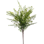 Paprotka bukiet pik 40 cm